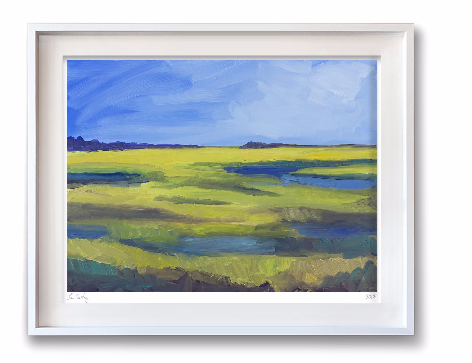 Marshes on My Mind